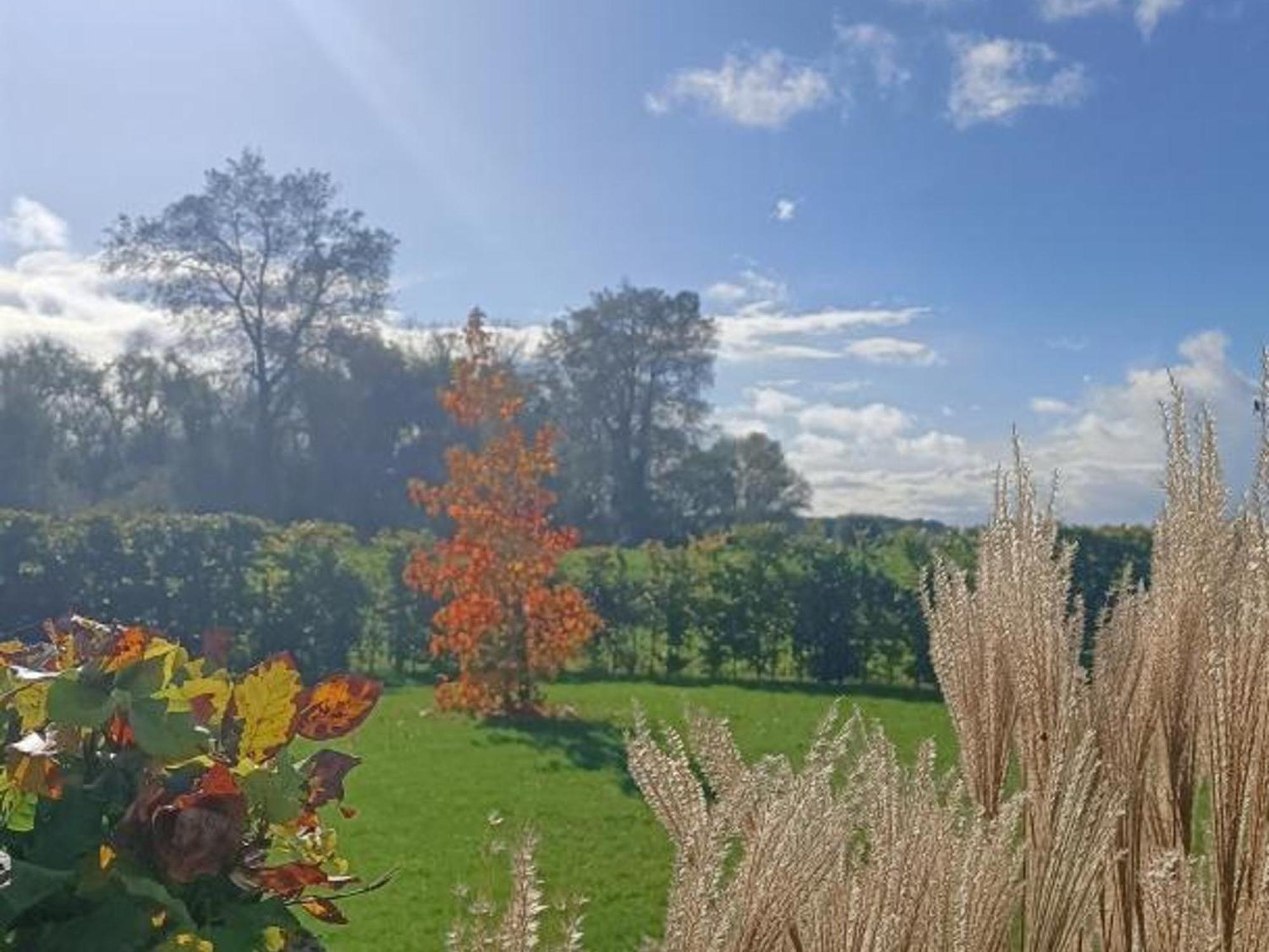 Gîte Nieppe, 5 pièces, 8 personnes - FR-1-510-4 Extérieur photo